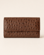 The Luxurious Ladies Clutch & Wallet